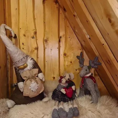 Durda Privat bolig Poronin