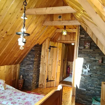 Durda 홈스테이 포로닌